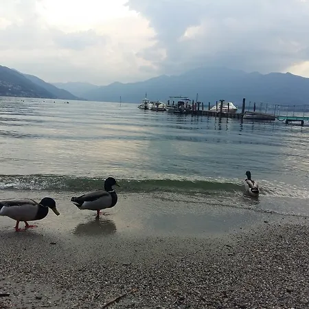Casa Grillino Locarno