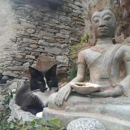 Апартаменты Casa Grillino