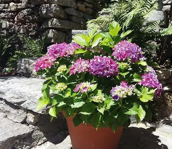 Апартаменты Casa Grillino Локарно