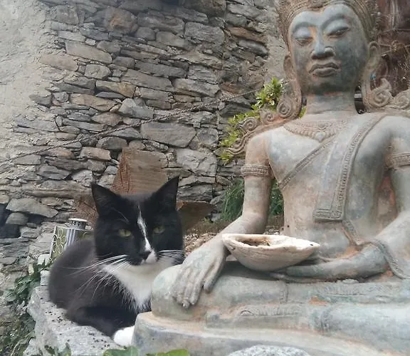 Апартаменты Casa Grillino