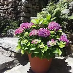 Apartamento Casa Grillino Locarno